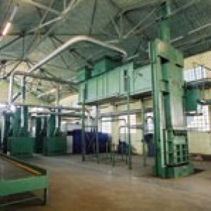 Çiğit (Pamuk) Yağ